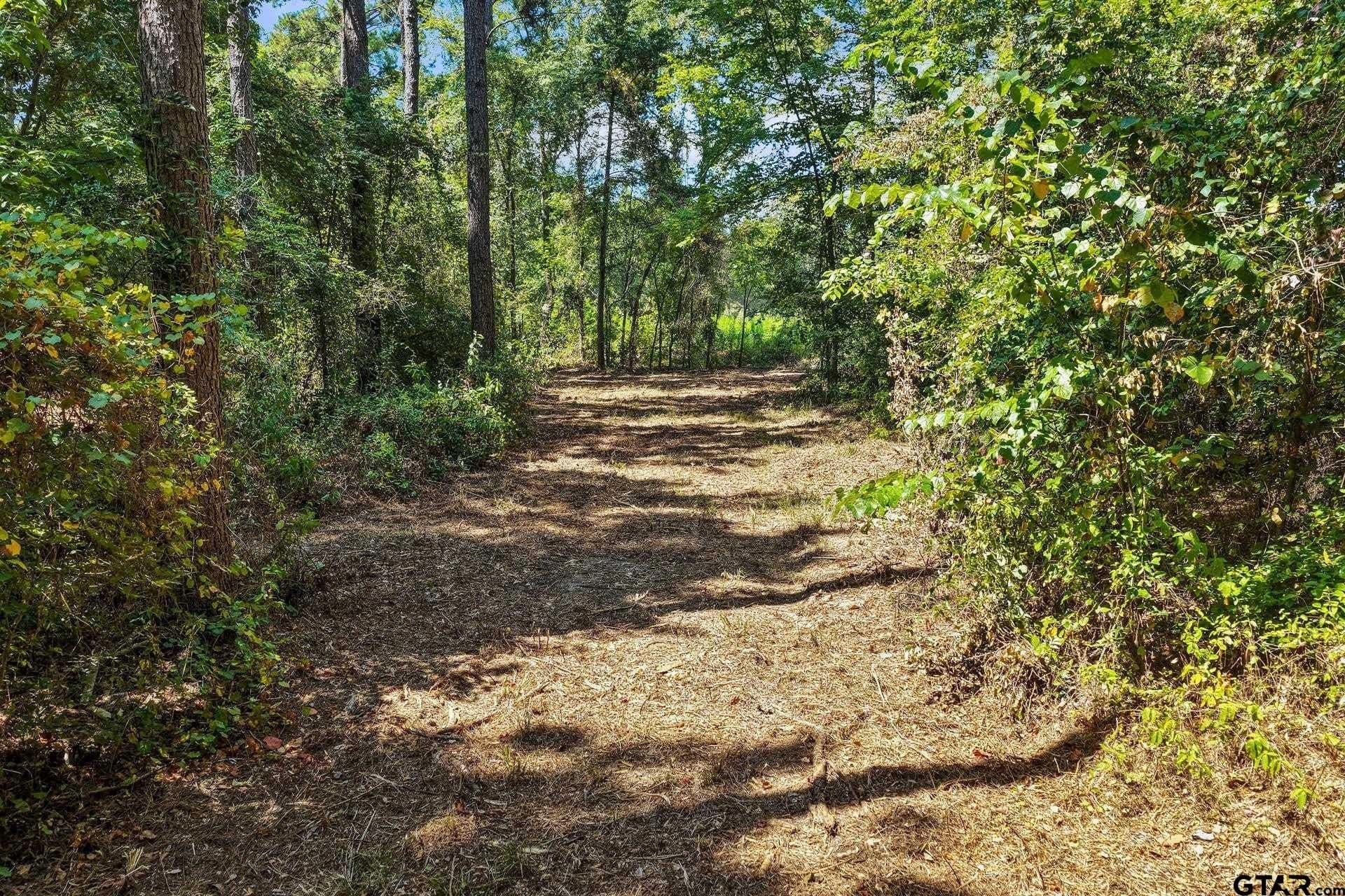 10.7 acres in Camp County - photo 28