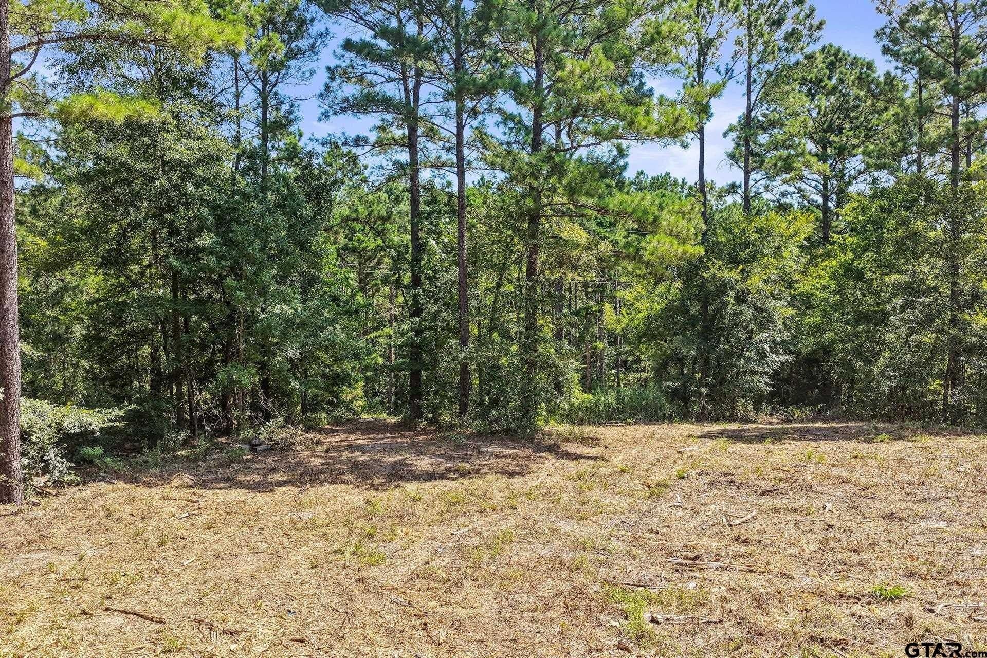 10.7 acres in Camp County - photo 11