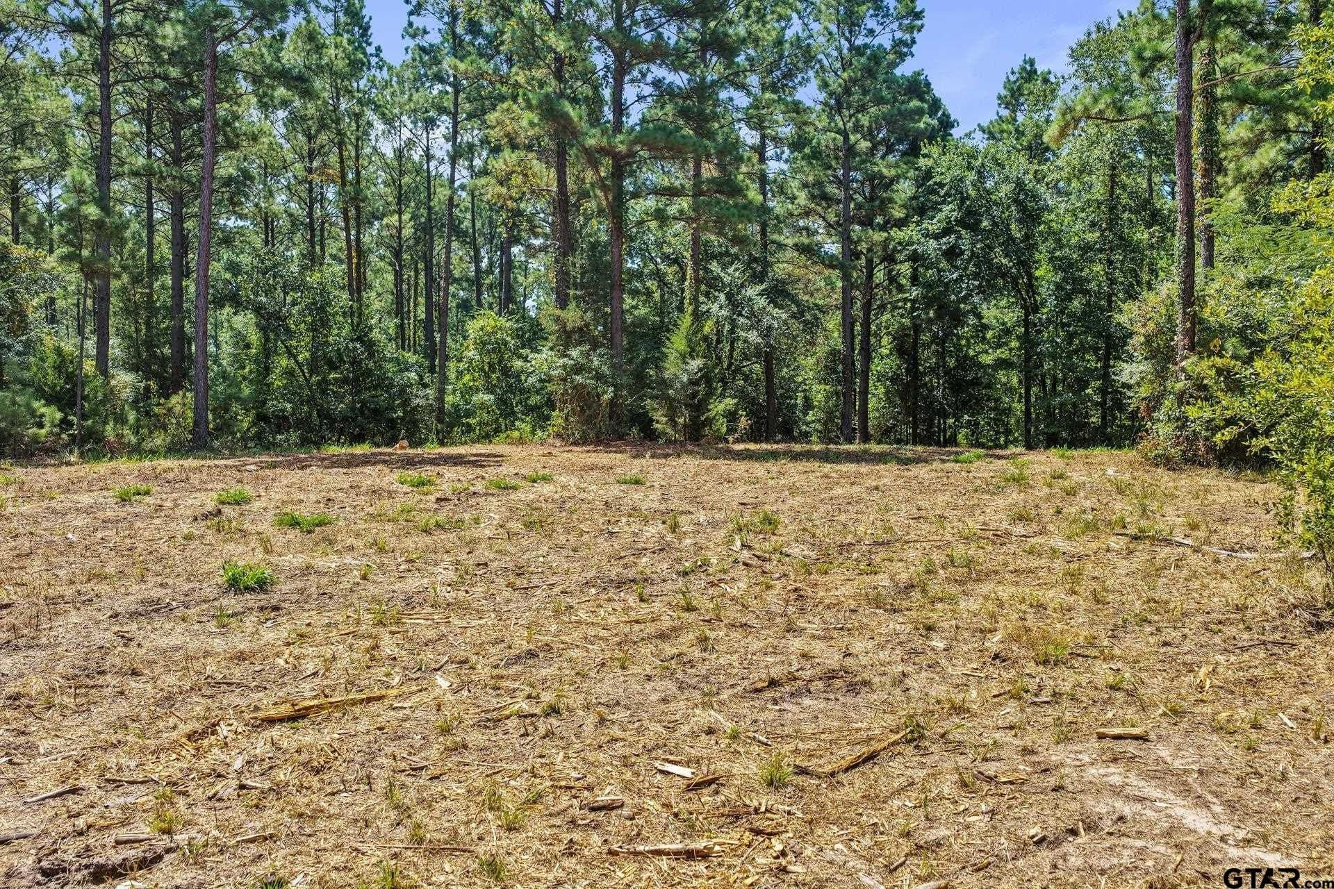 10.7 acres in Camp County - photo 31