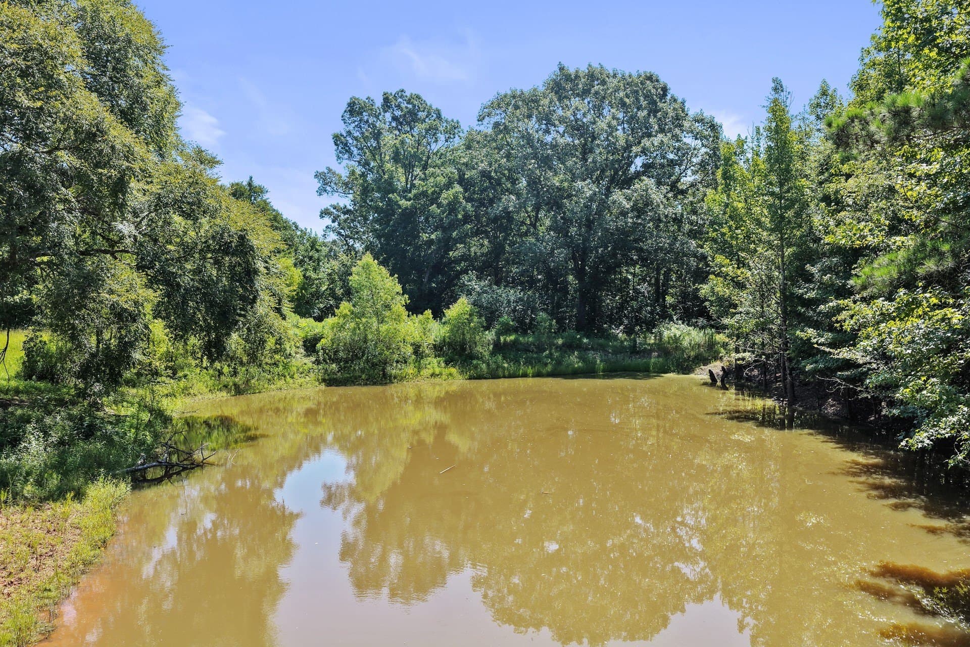 21.32 acres in Cass County - photo 28
