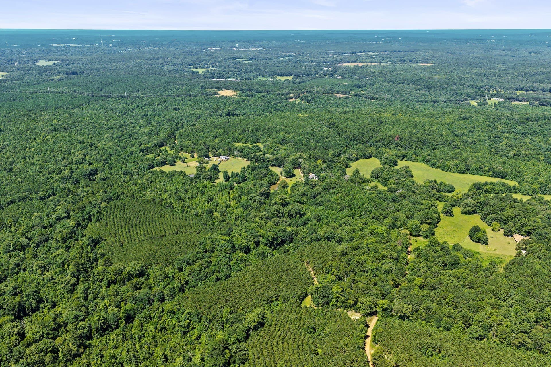 21.32 acres in Cass County - photo 34