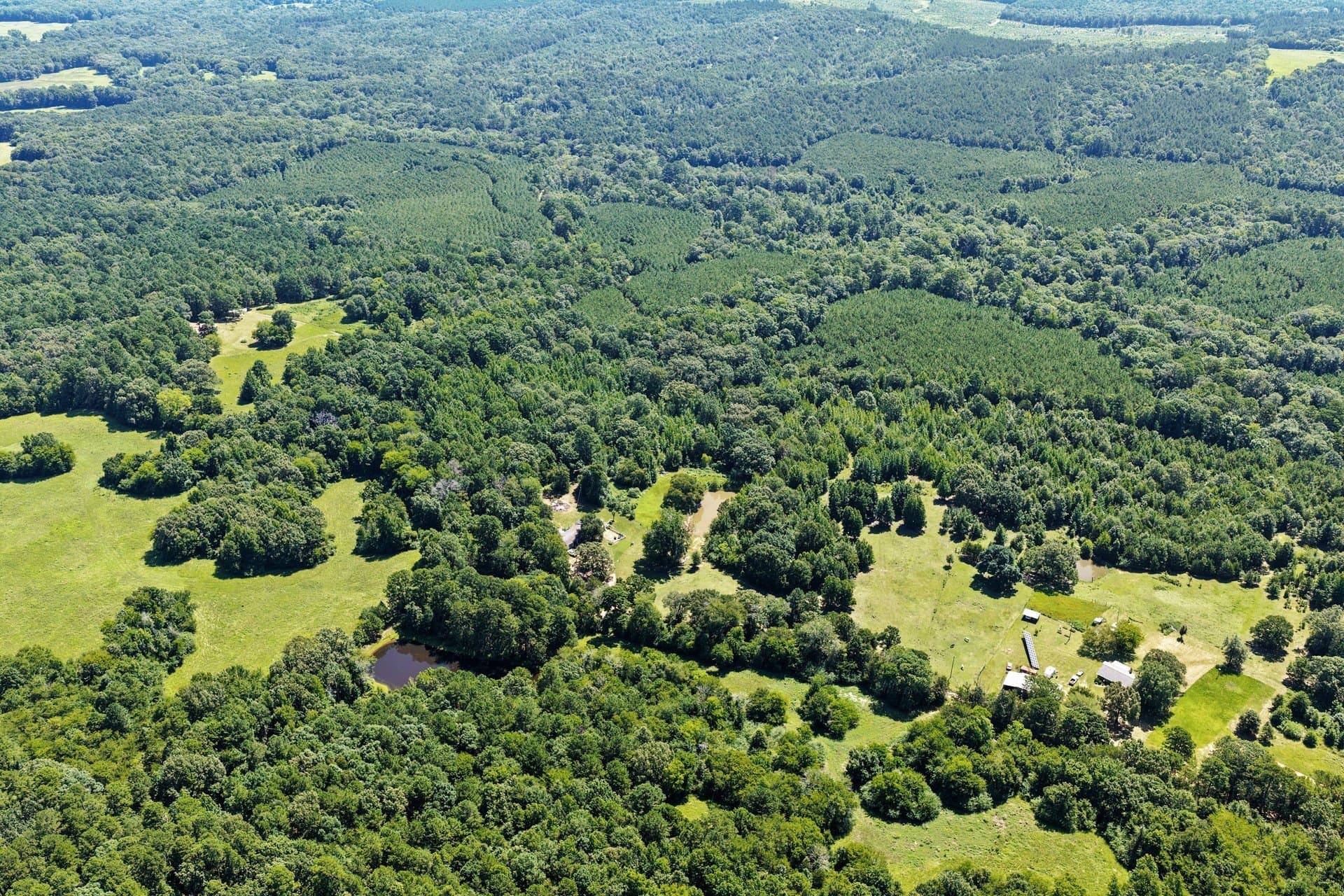 21.32 acres in Cass County - photo 32