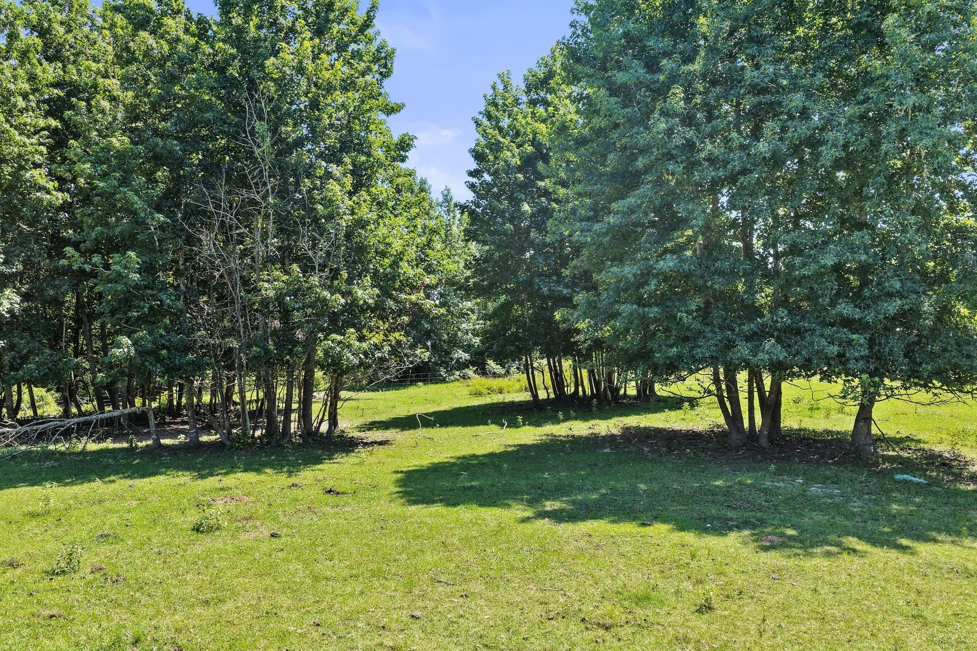 21.32 acres in Cass County - photo 31