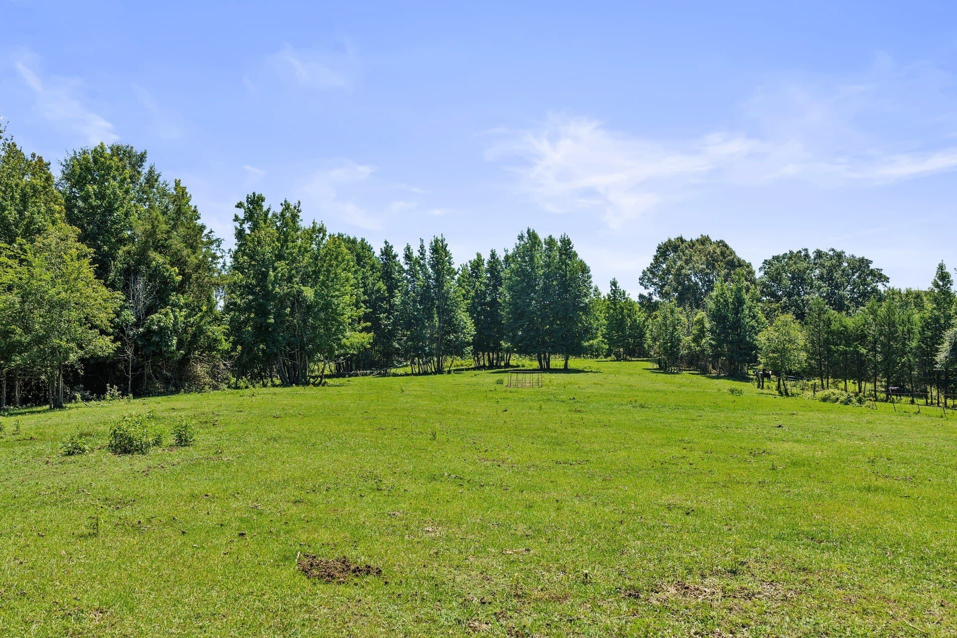 21.32 acres in Cass County - photo 29