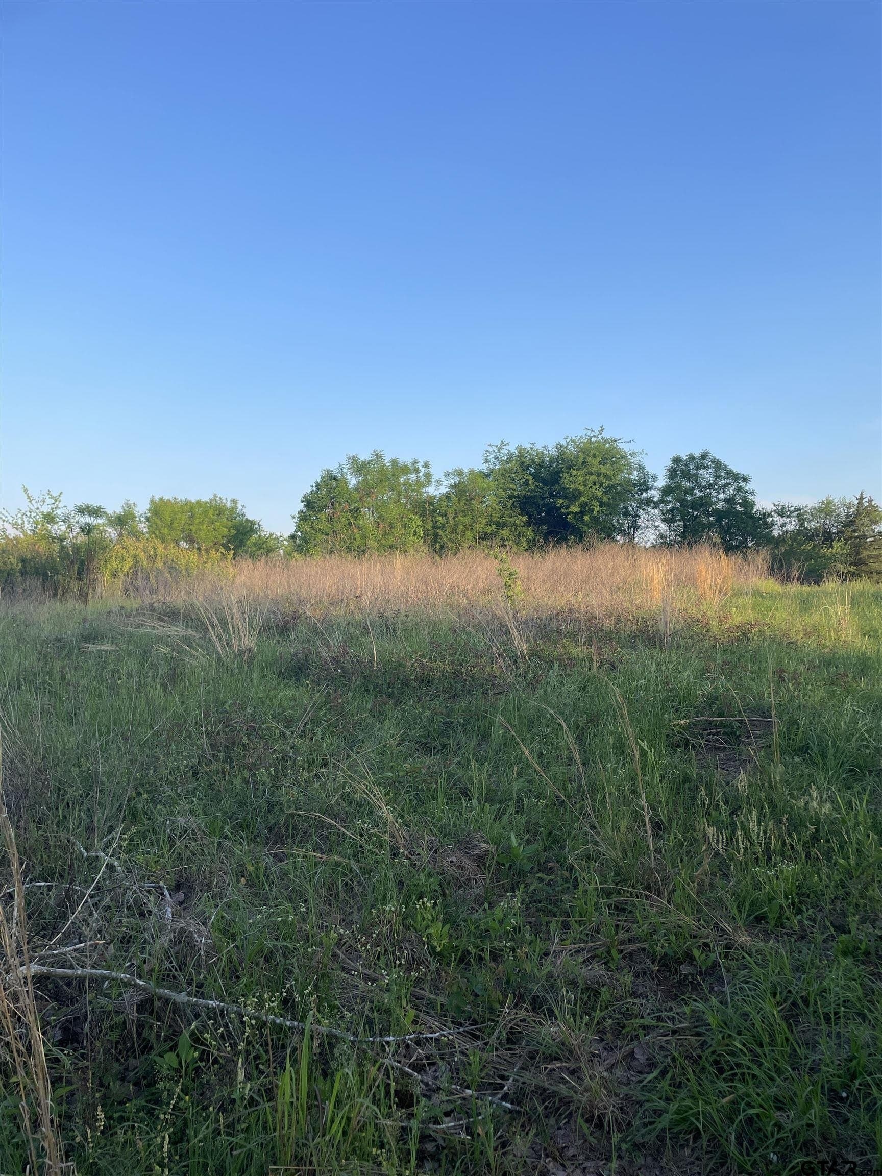 1 acres in Camp County gallery image 3