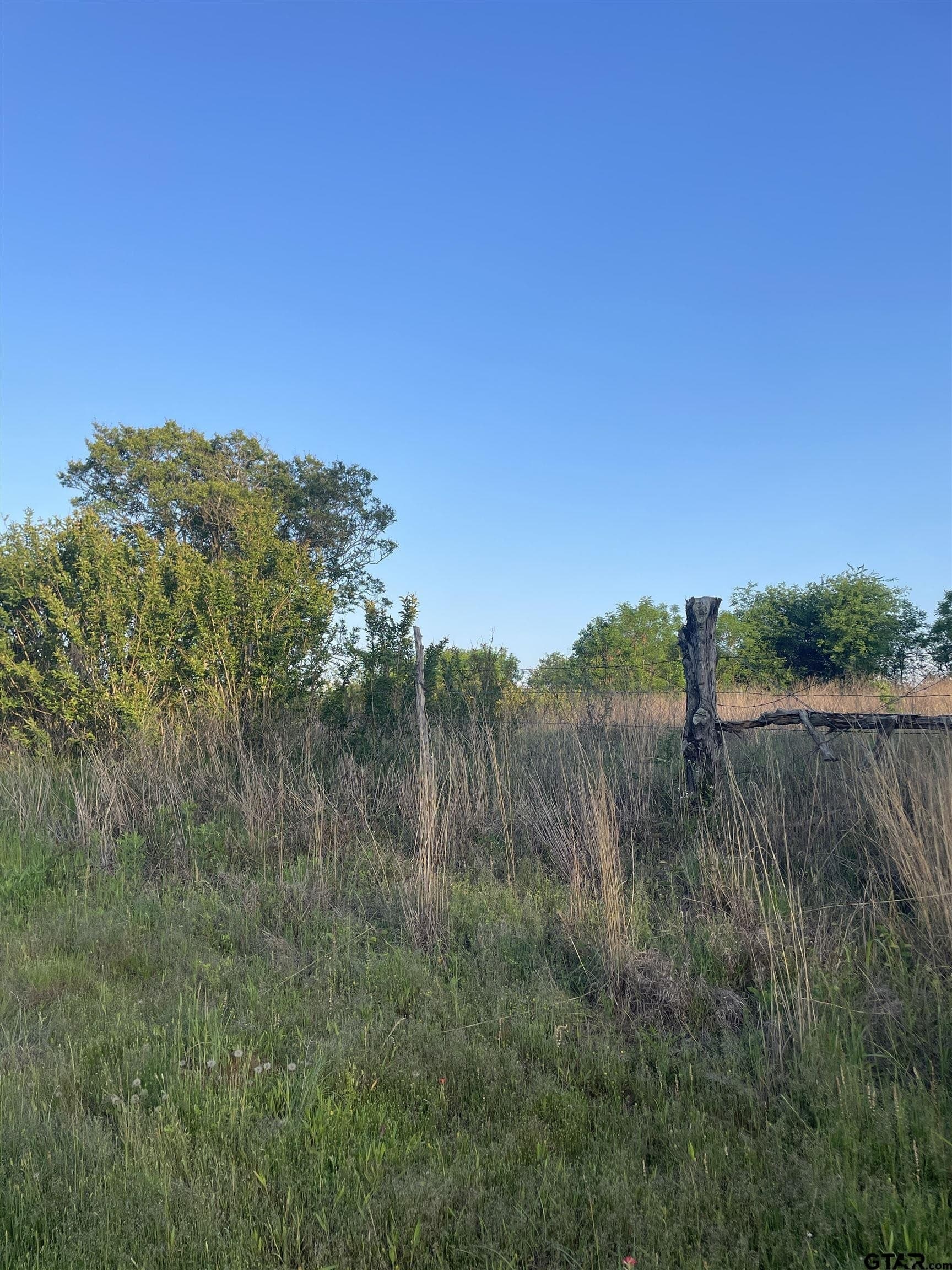 1 acres in Camp County gallery image 2