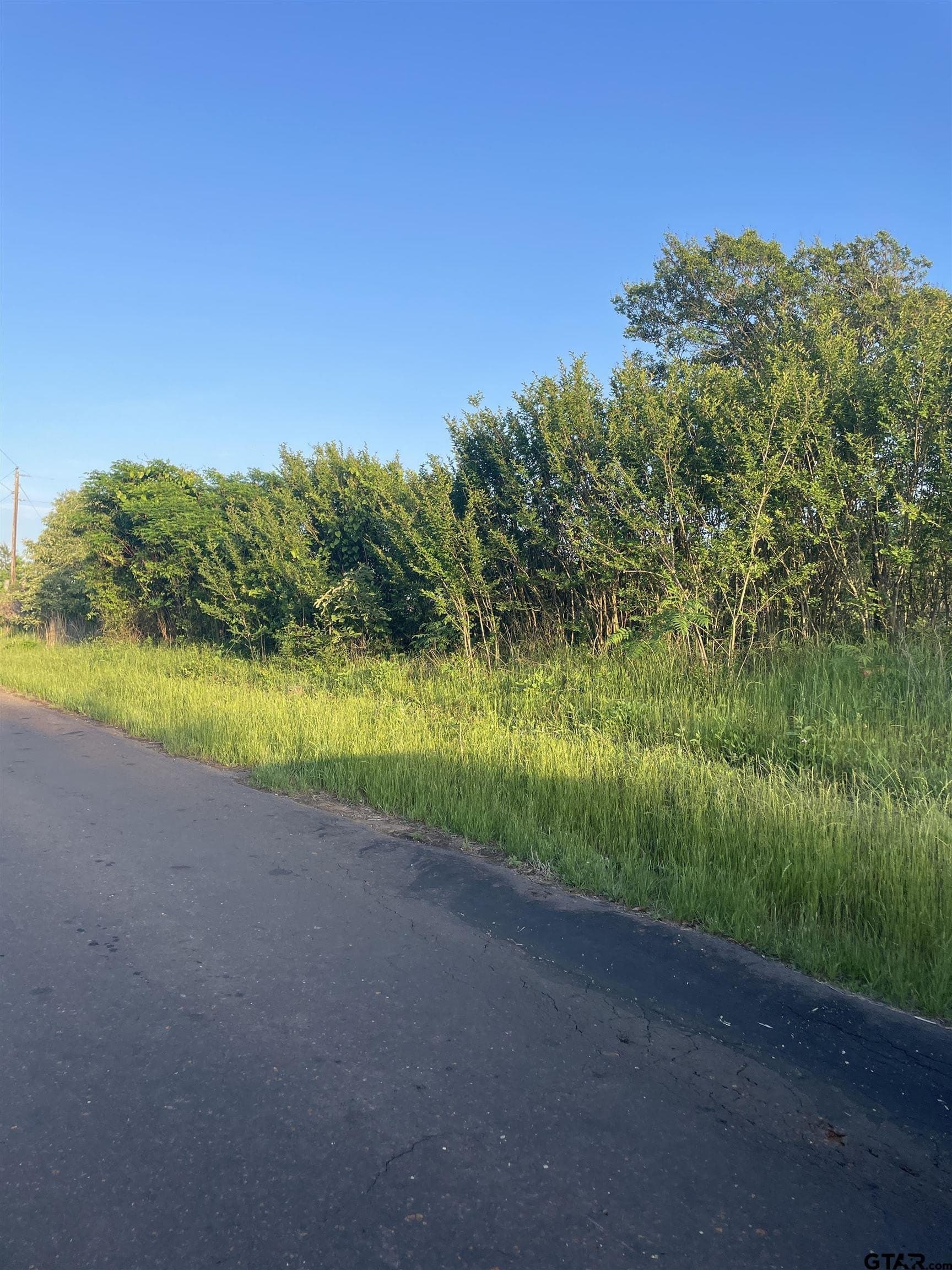 1 acres in Camp County featured view