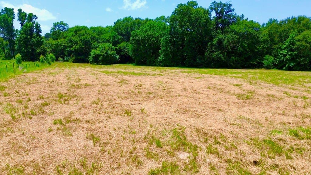 12.54 acres in Texas County - photo 15