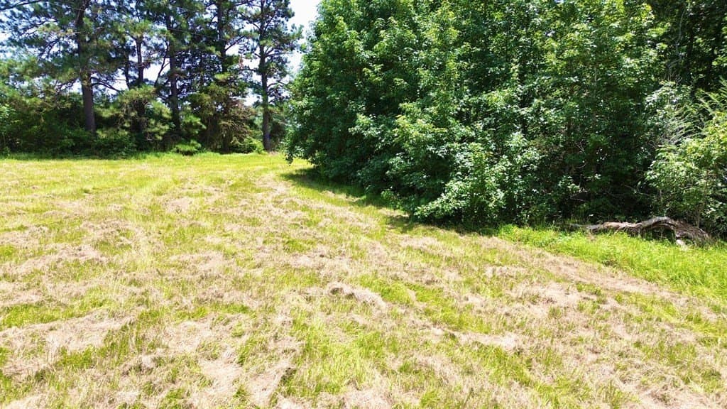 12.54 acres in Texas County - photo 11