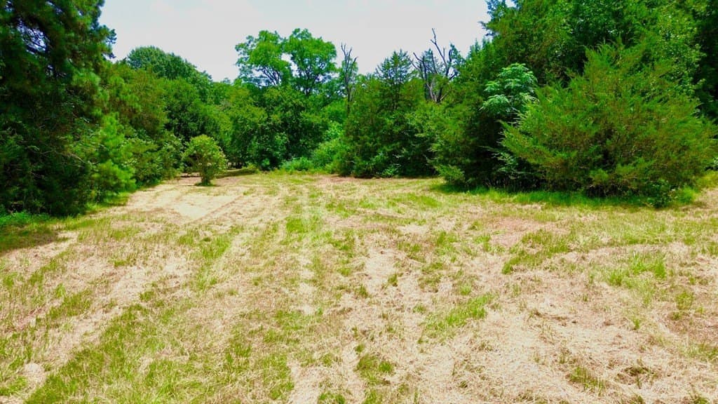 12.54 acres in Texas County - photo 17