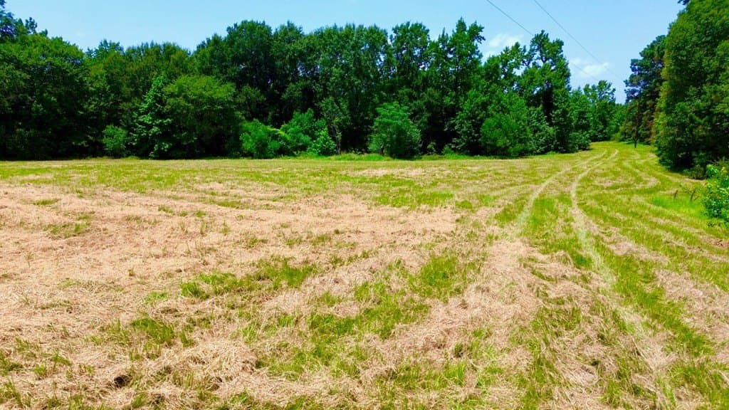 12.54 acres in Texas County - photo 16