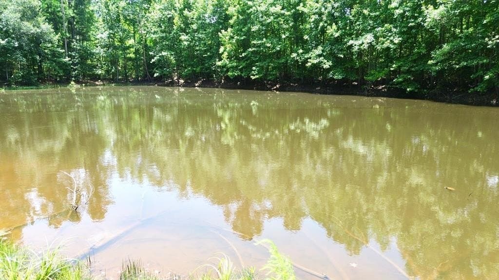 12.54 acres in Texas County - photo 2