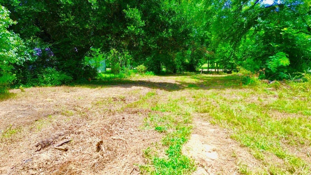 12.54 acres in Texas County - photo 20