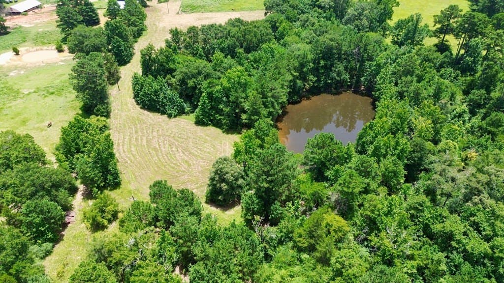 12.54 acres in Texas County - photo 8