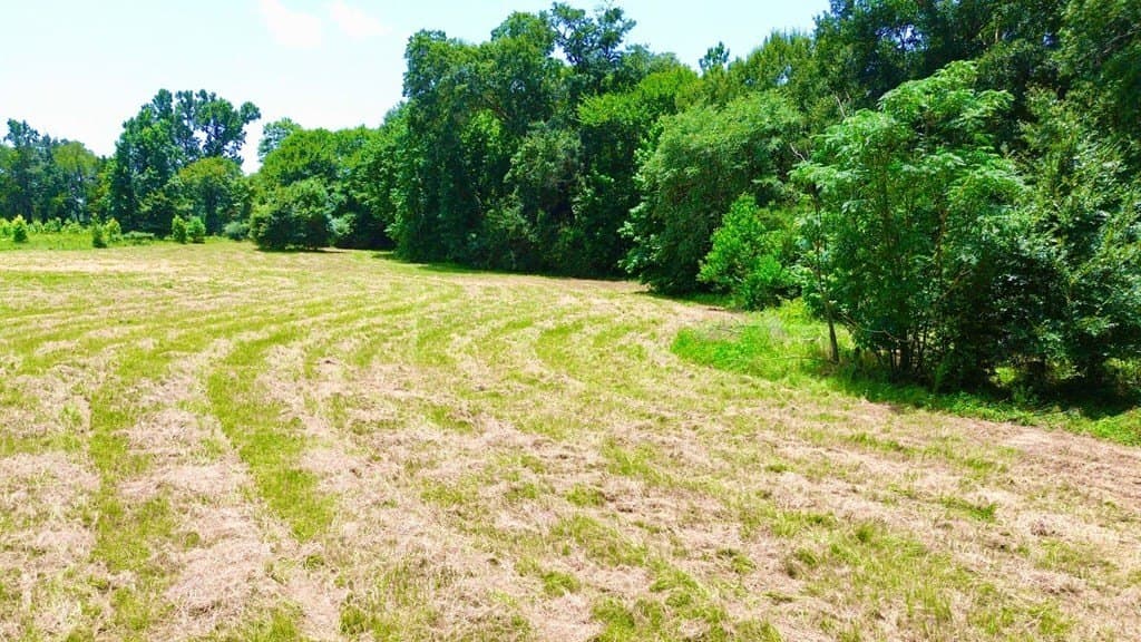 12.54 acres in Texas County - photo 12