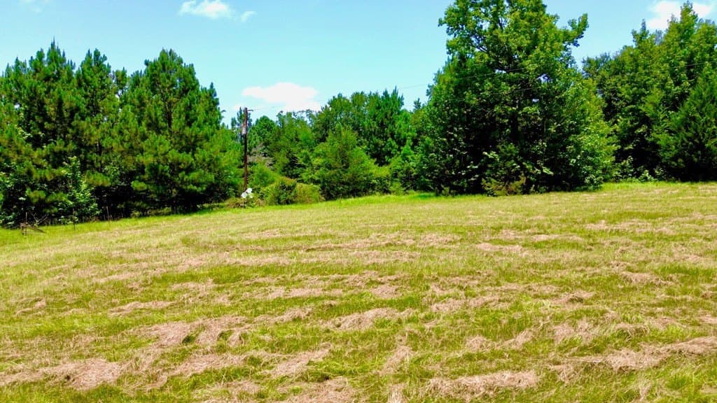 12.54 acres in Texas County - photo 6