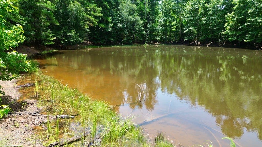 12.54 acres in Texas County - photo 9