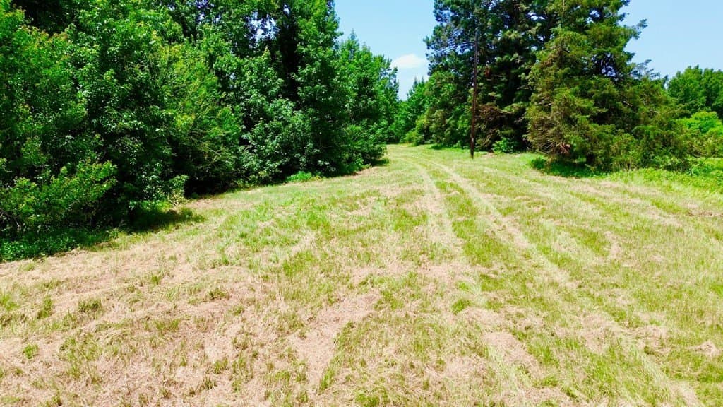 12.54 acres in Texas County - photo 13