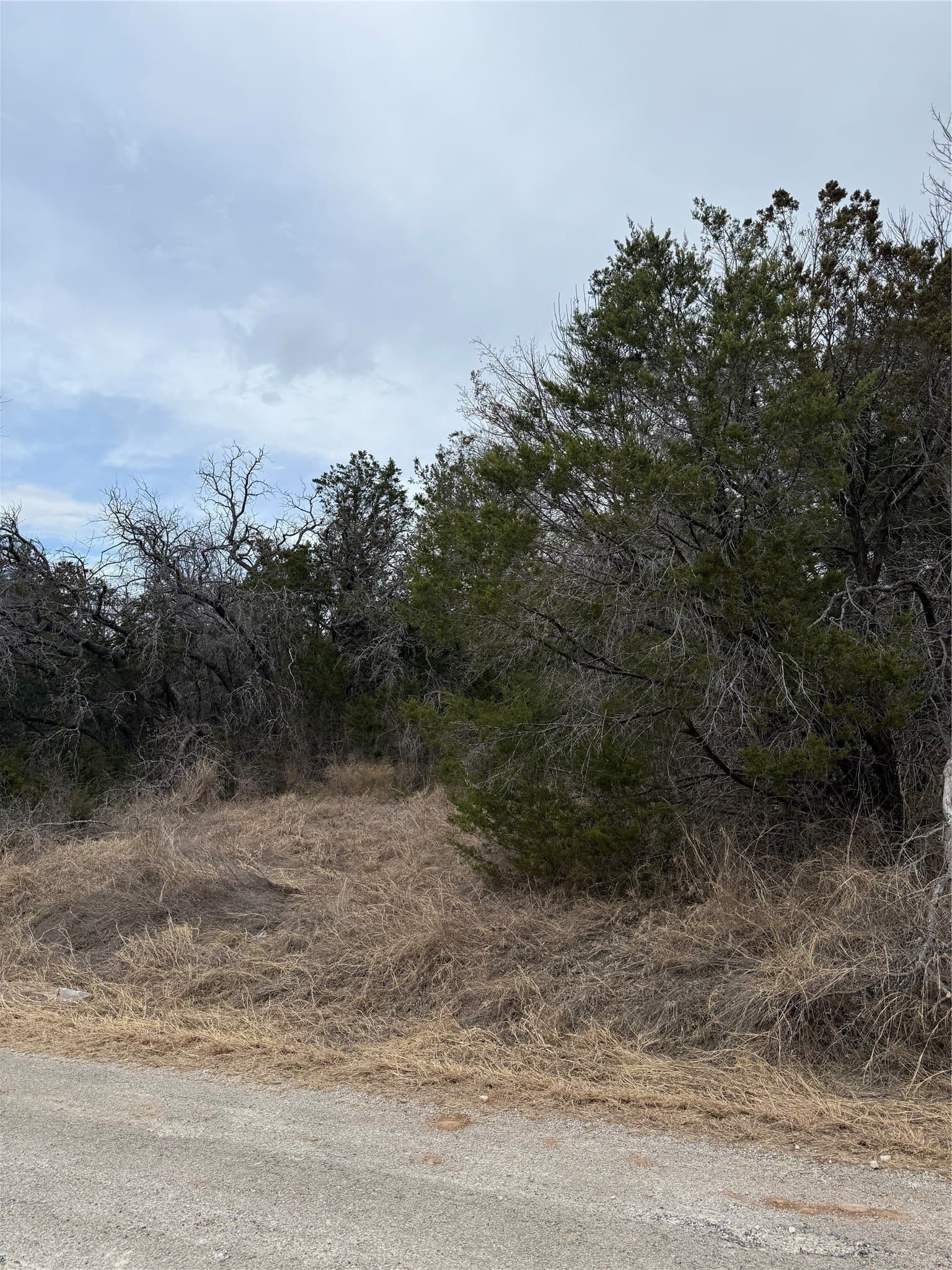 0.09 acres in Hood County gallery image 2