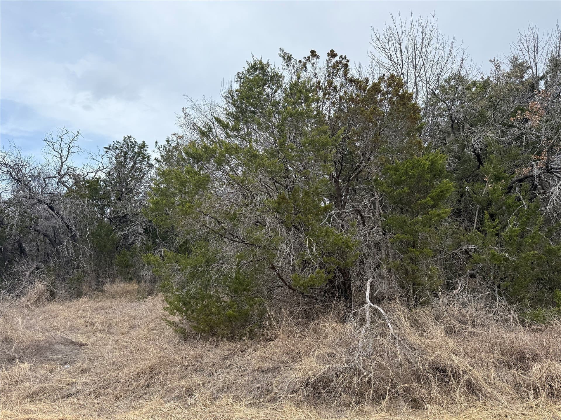 0.09 acres in Hood County gallery image 4