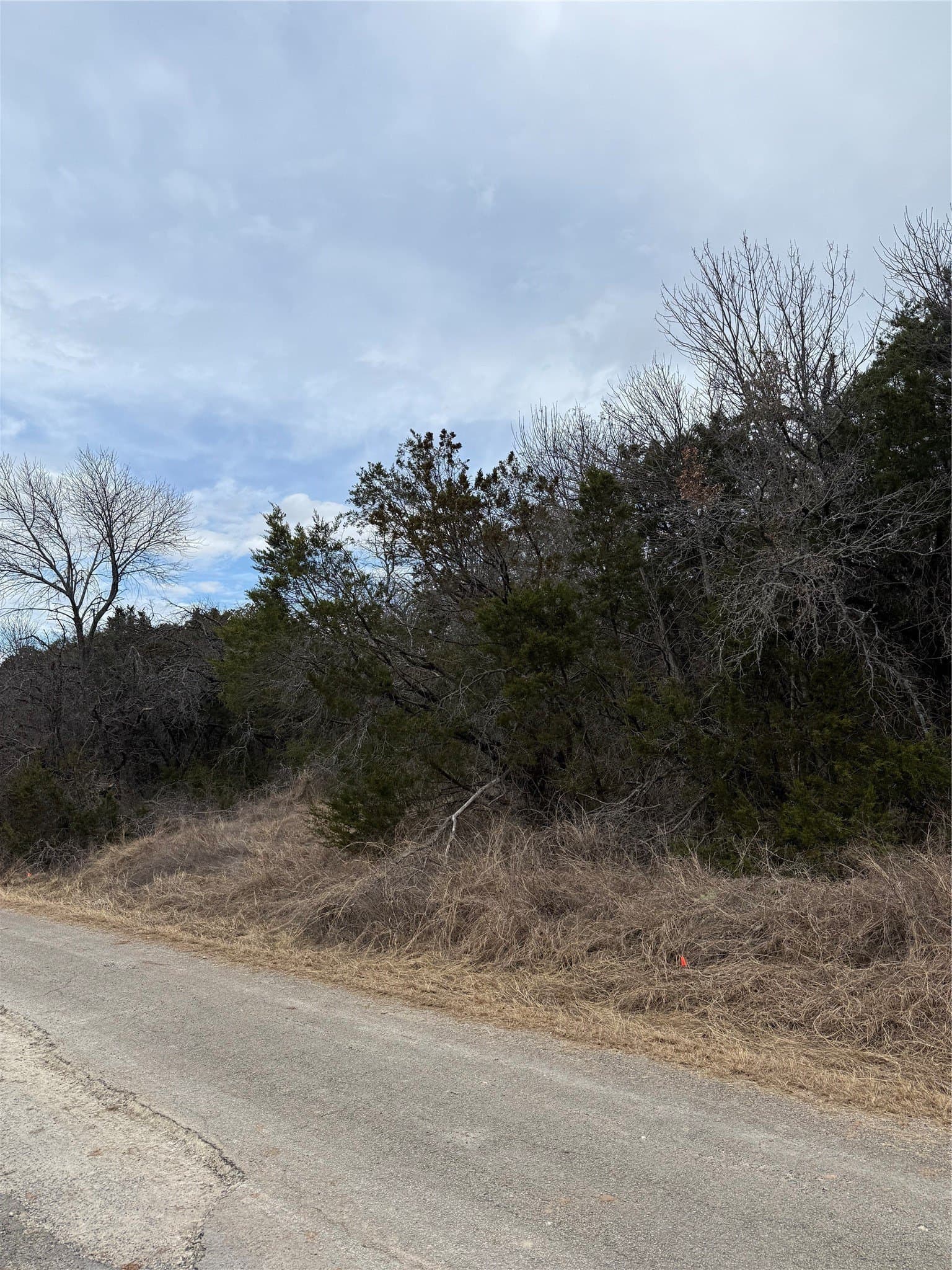 0.09 acres in Hood County gallery image 3