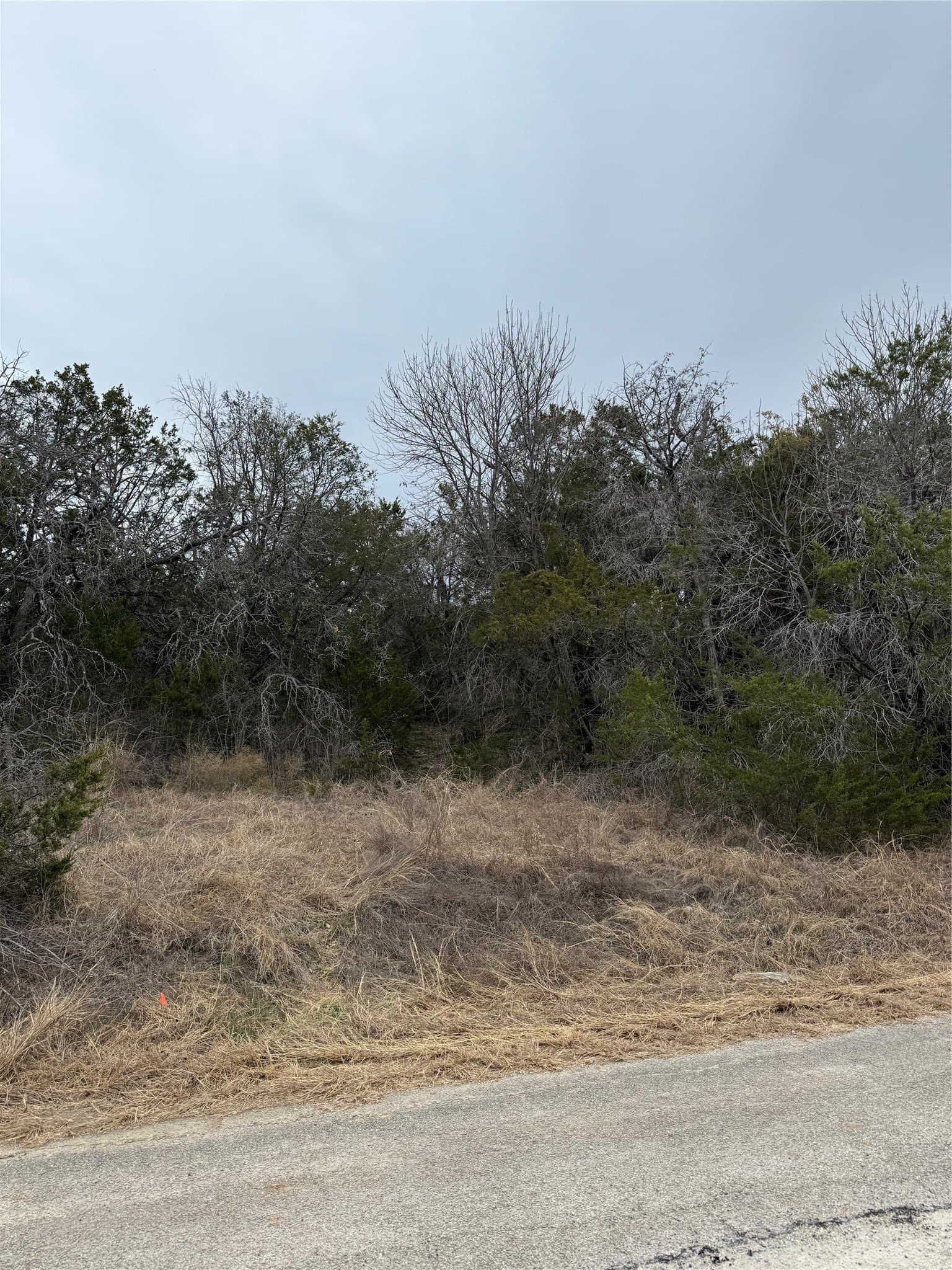0.09 acres in Hood County featured view