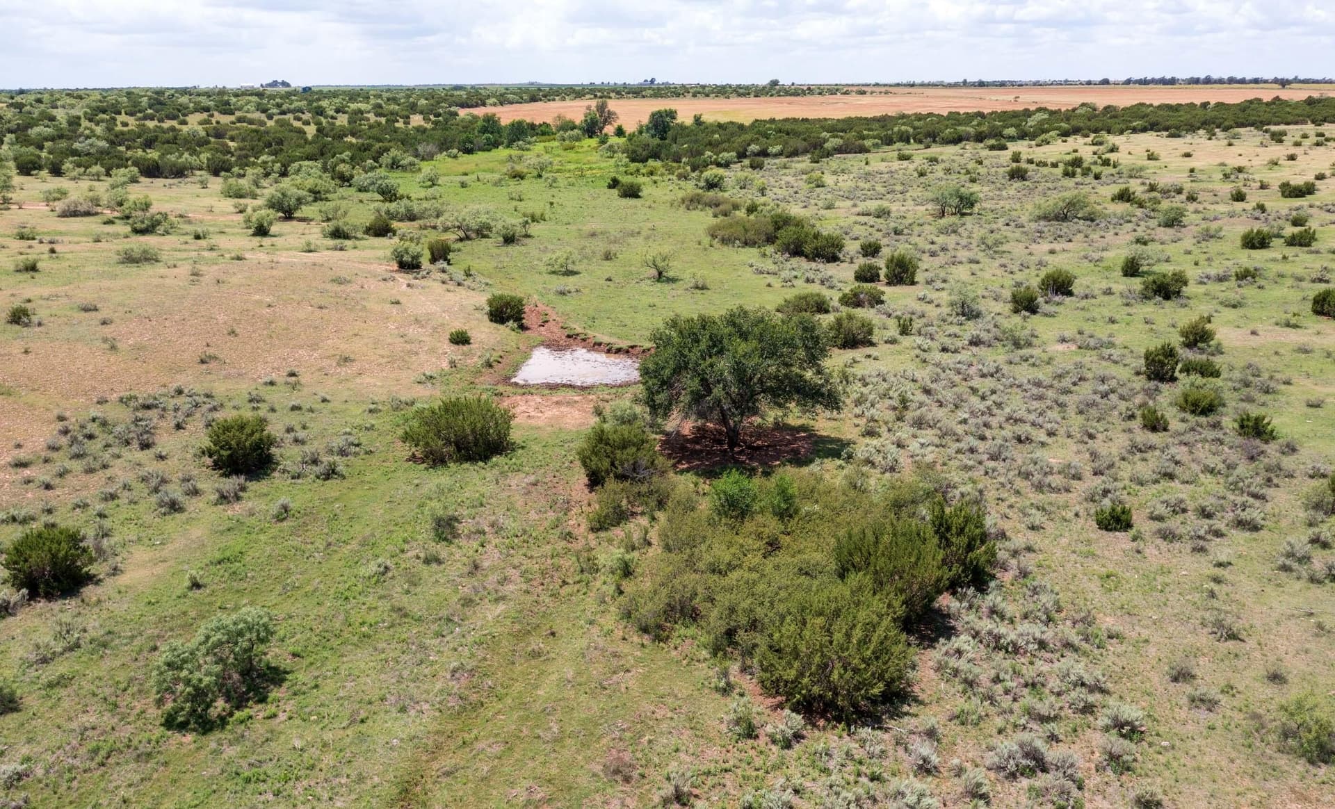 159.92 acres in Donley County - photo 49
