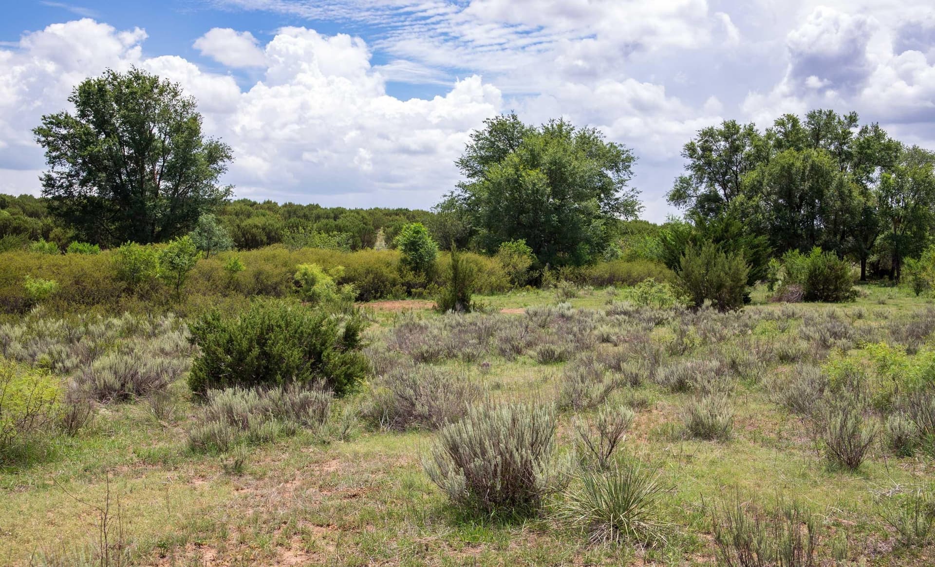 159.92 acres in Donley County - photo 58