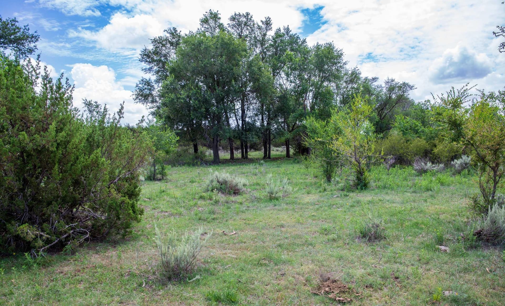 159.92 acres in Donley County - photo 59