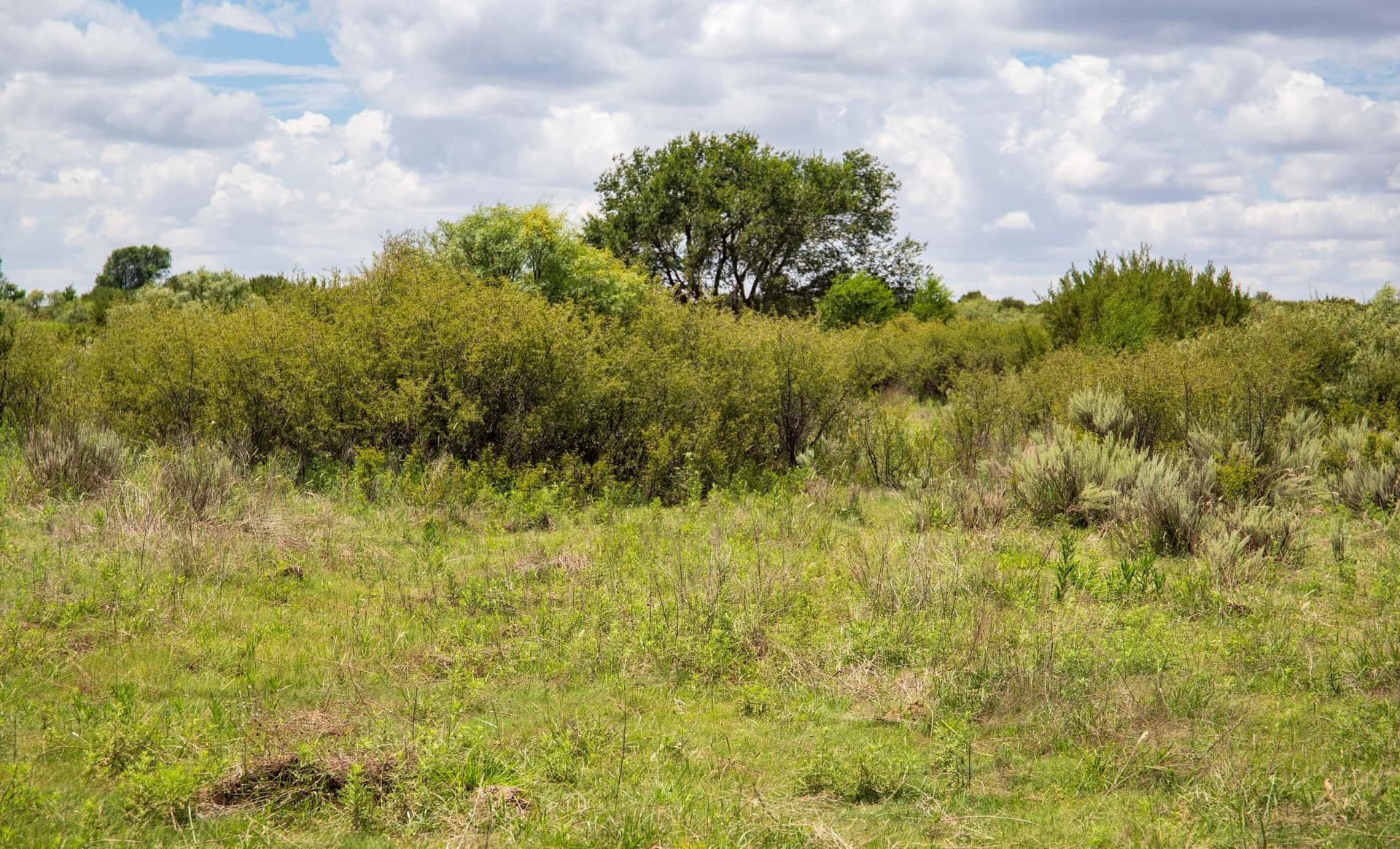 159.92 acres in Donley County - photo 65