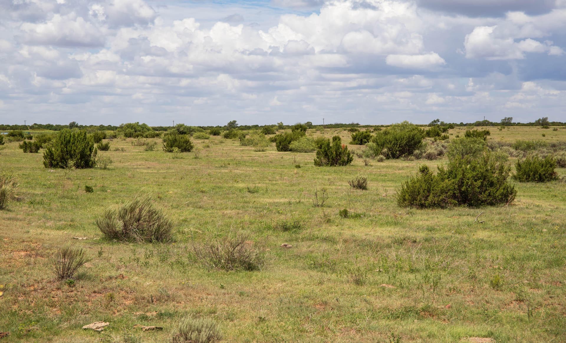 159.92 acres in Donley County - photo 56