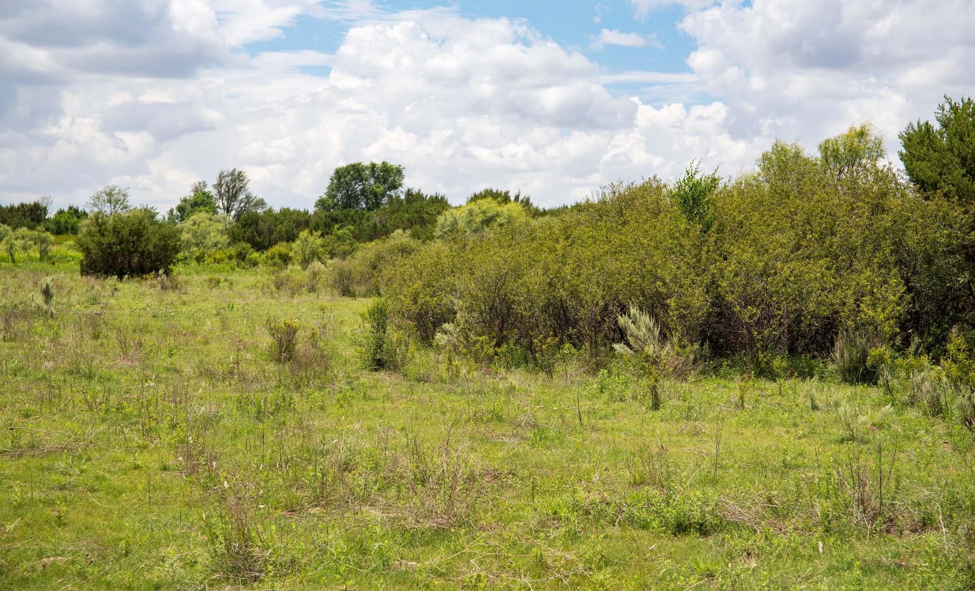 159.92 acres in Donley County - photo 66