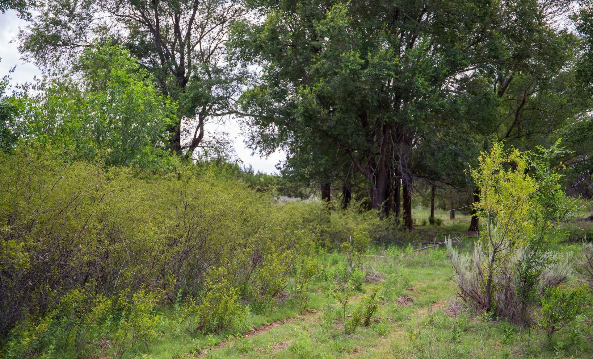 159.92 acres in Donley County - photo 61