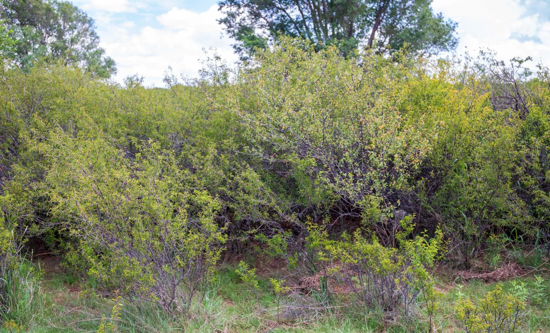 159.92 acres in Donley County - photo 62