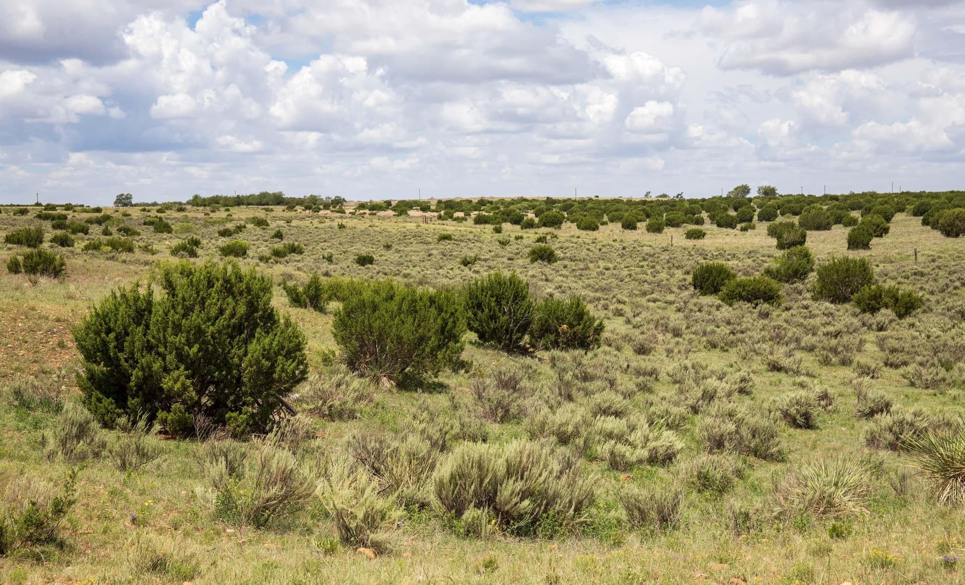159.92 acres in Donley County - photo 57
