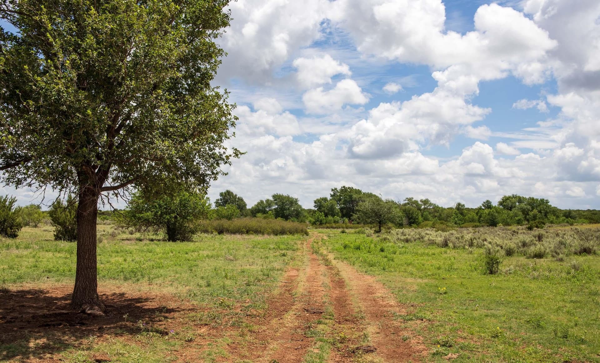 159.92 acres in Donley County - photo 55