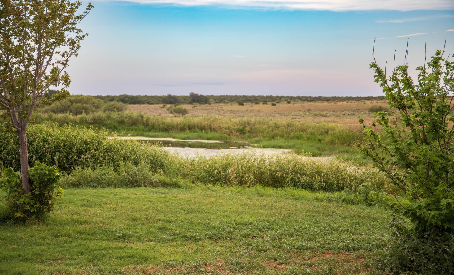 159.92 acres in Donley County - photo 79