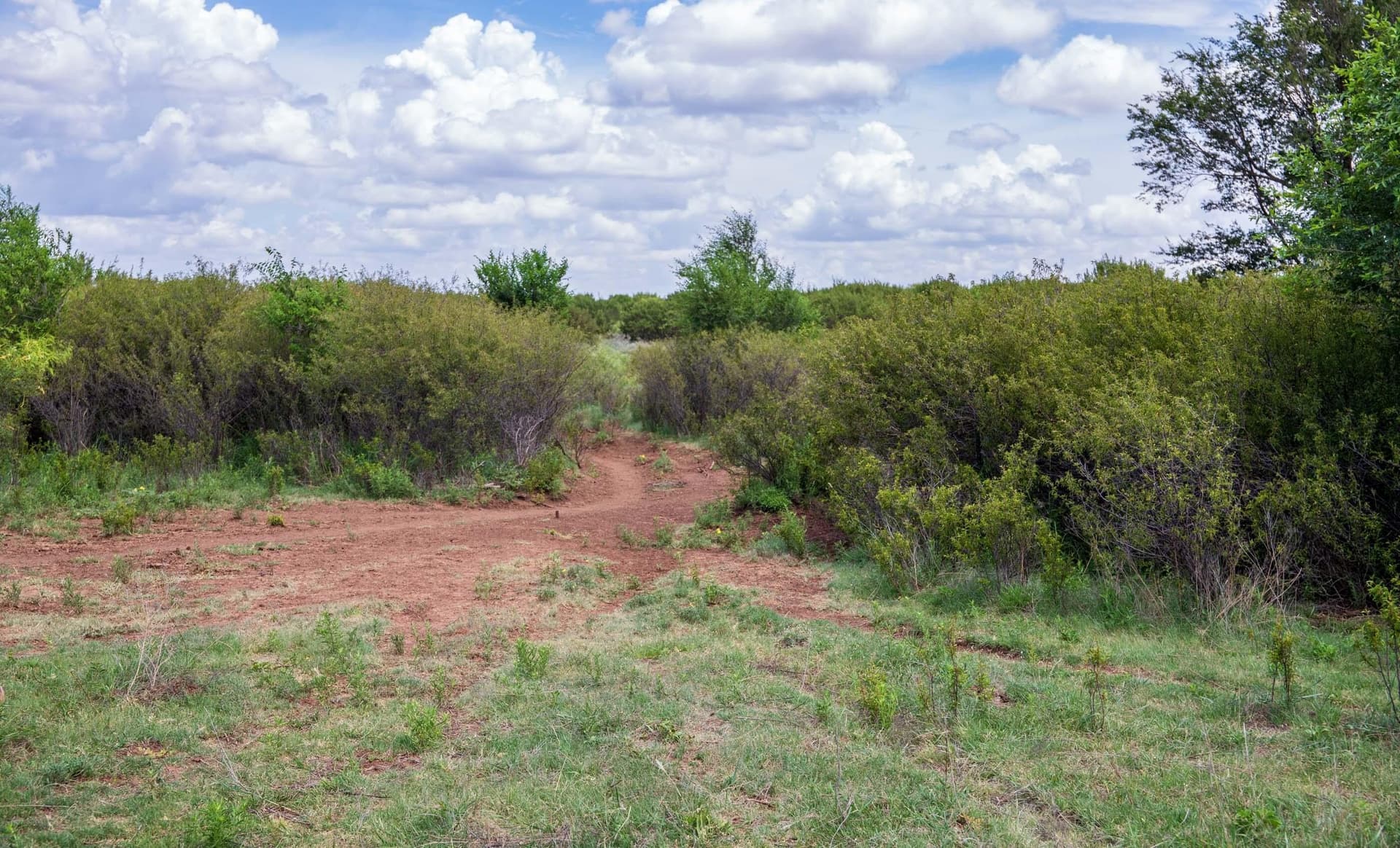 159.92 acres in Donley County - photo 60