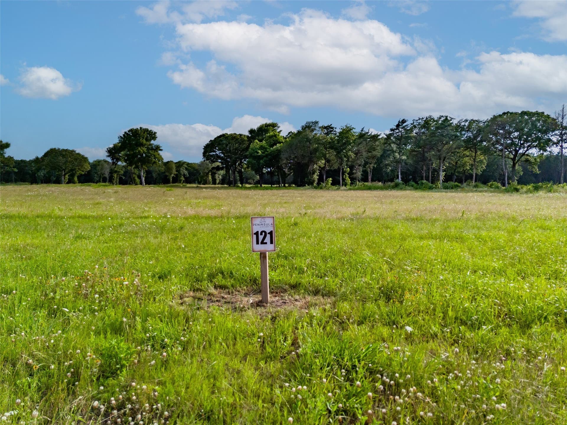 3.01 acres in Fannin County gallery image 4