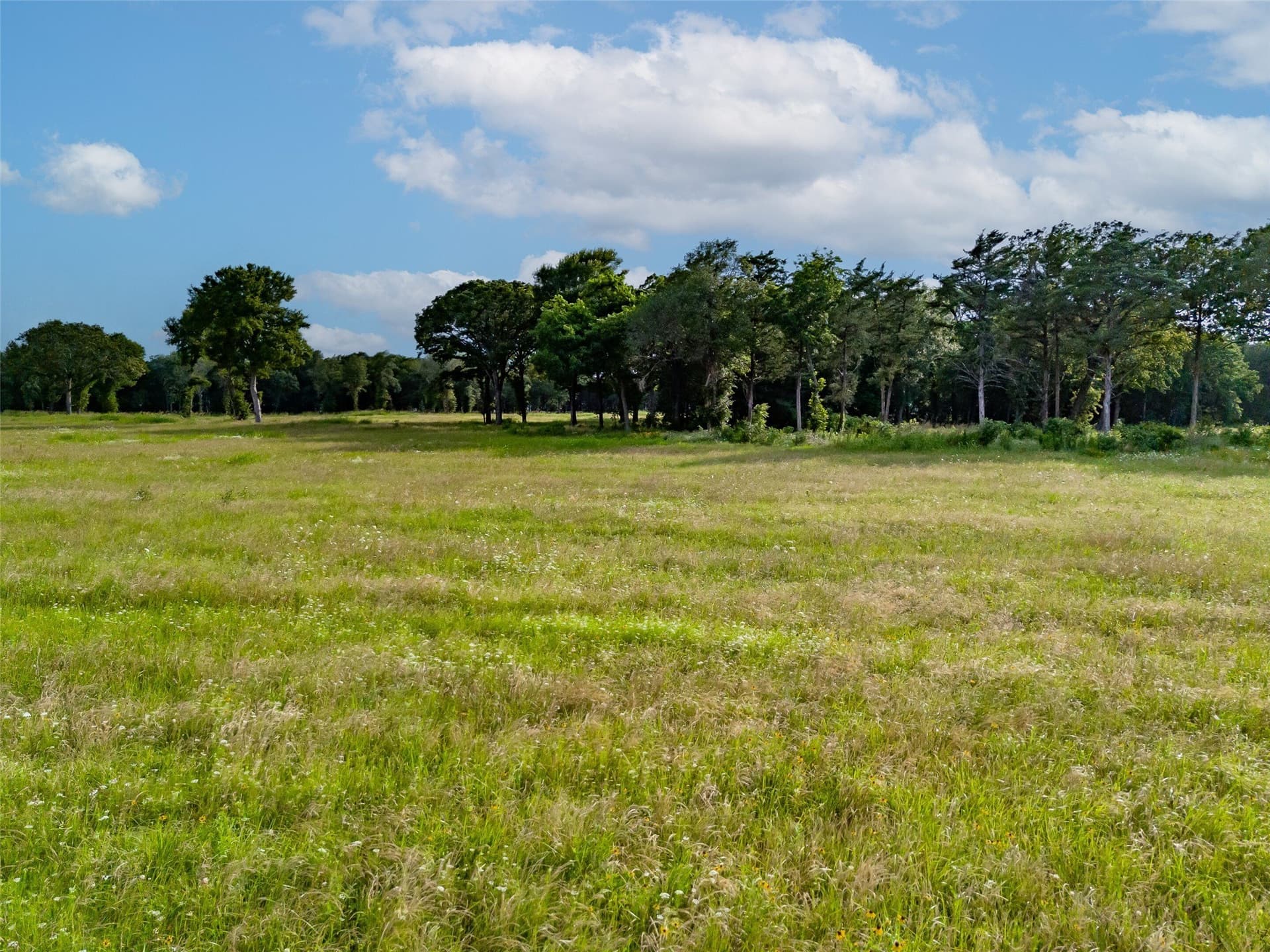 3.01 acres in Fannin County - photo 11