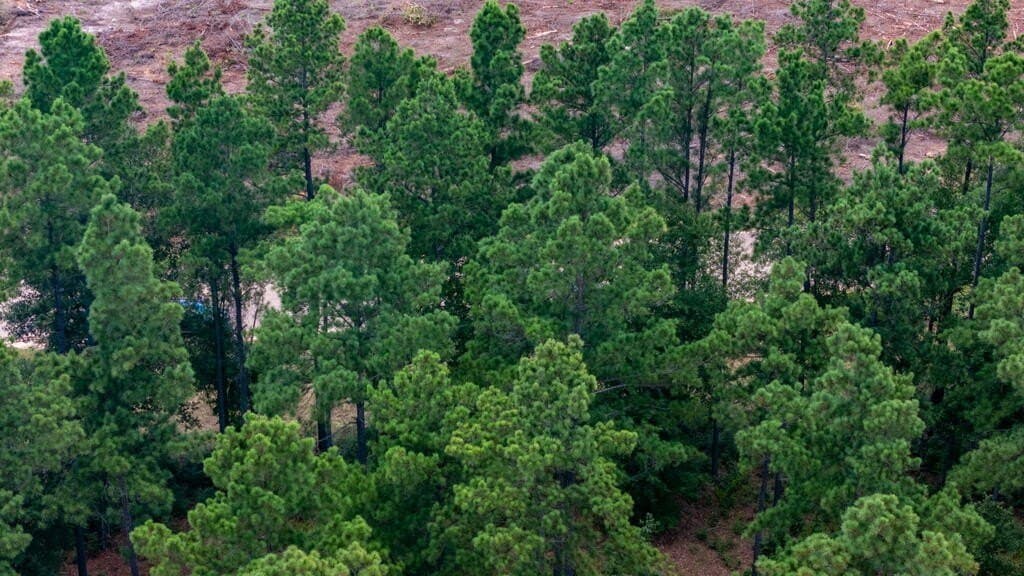 3.67 acres in Texas County - photo 24