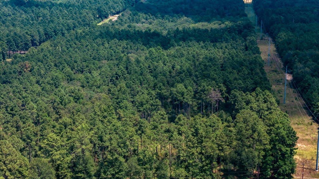 3.67 acres in Texas County - photo 12