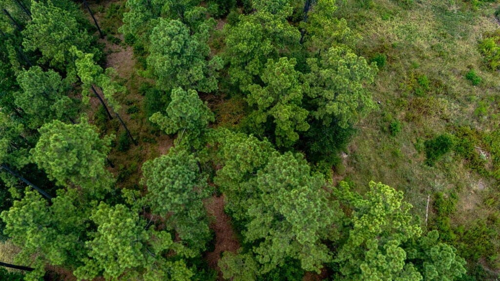 3.67 acres in Texas County - photo 19