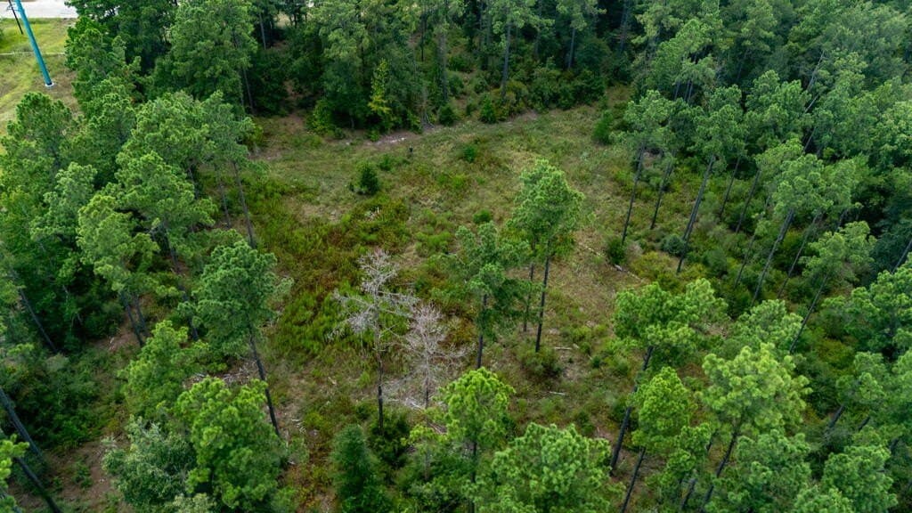 3.67 acres in Texas County - photo 22