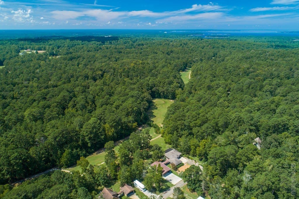 0.18 acres in Texas County gallery image 2
