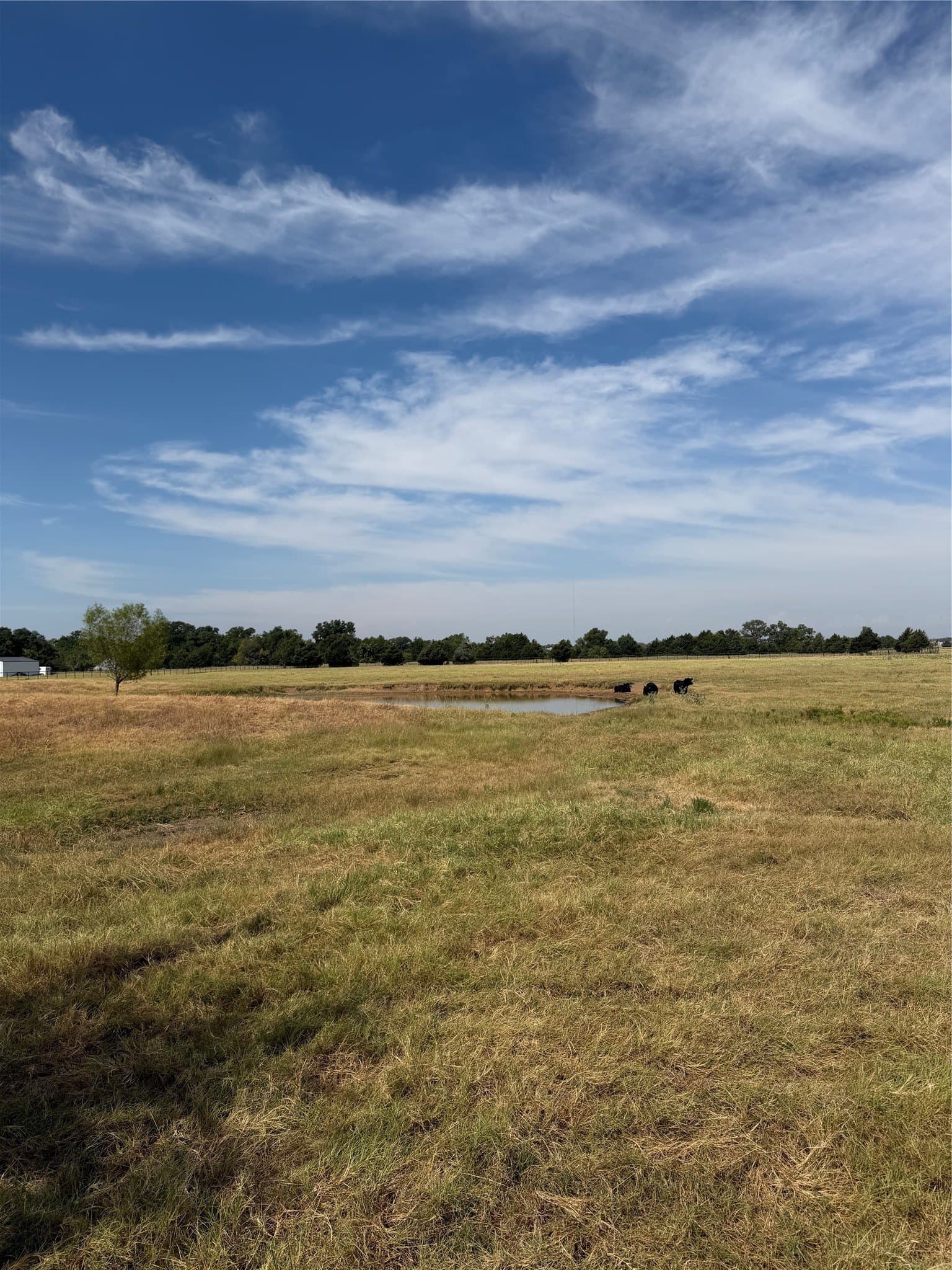 11.45 acres in Grayson County