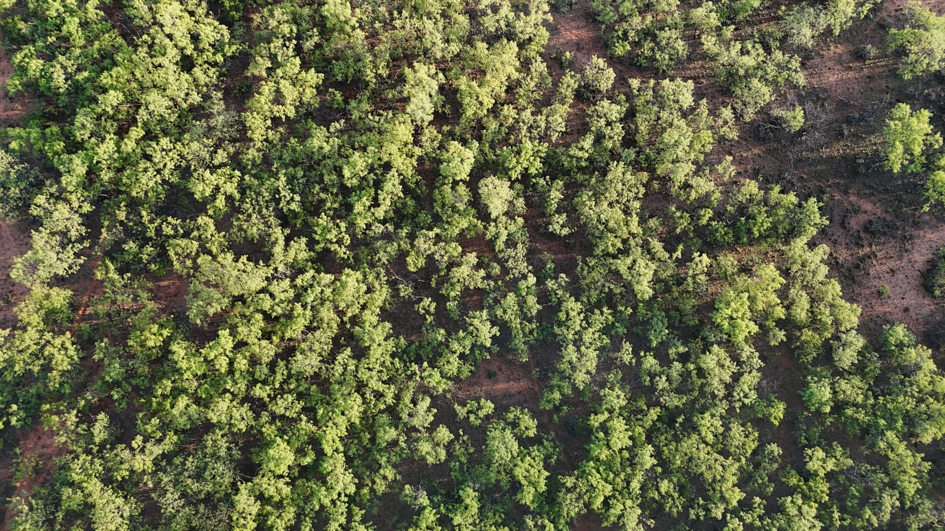 398.83 acres in Fisher County - photo 58