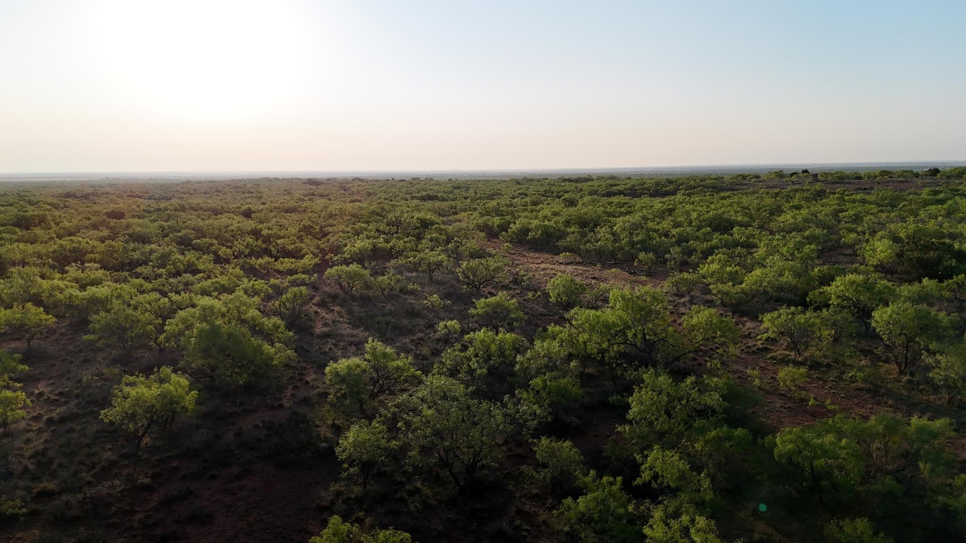 398.83 acres in Fisher County - photo 52