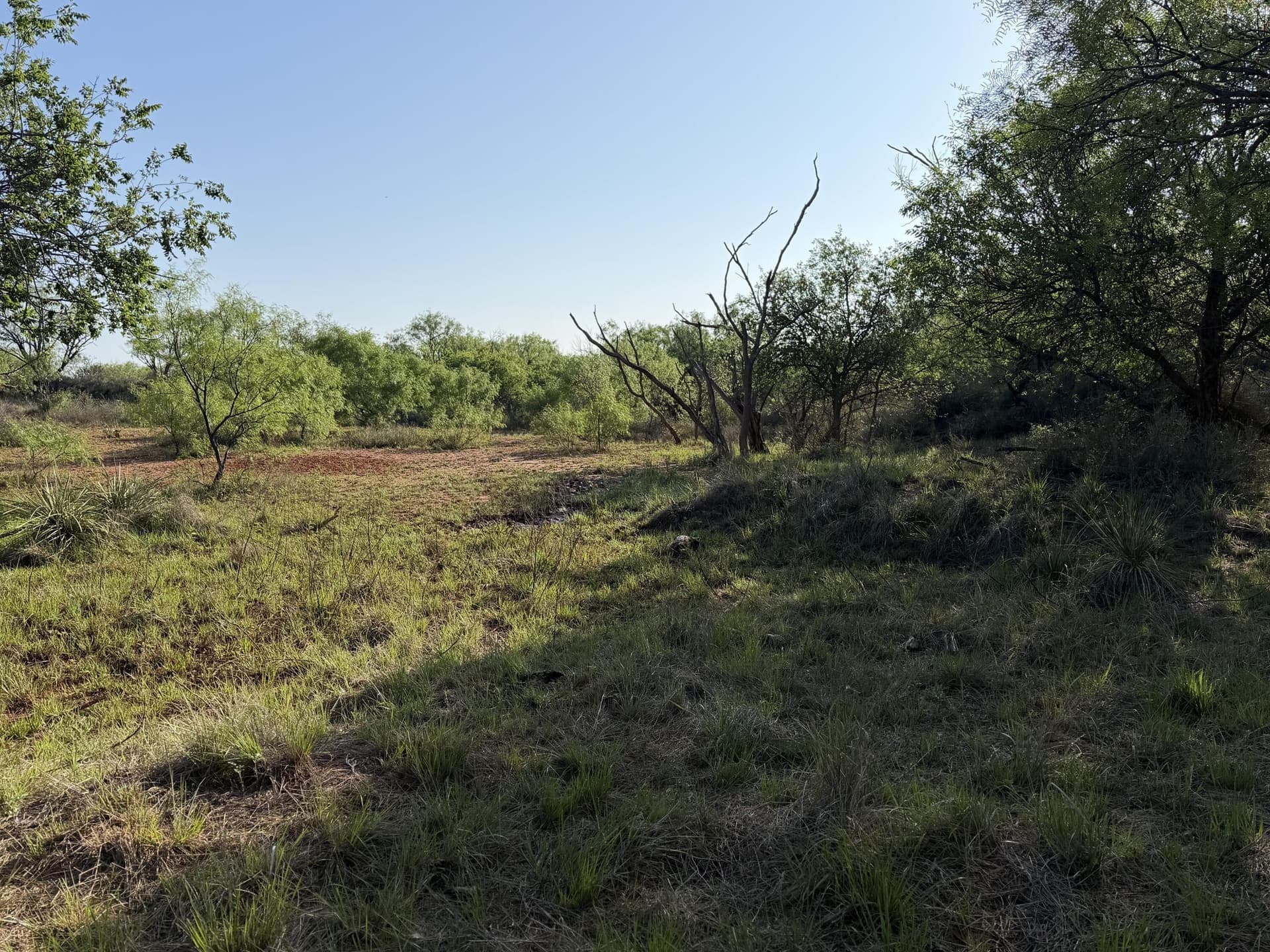 398.83 acres in Fisher County - photo 67