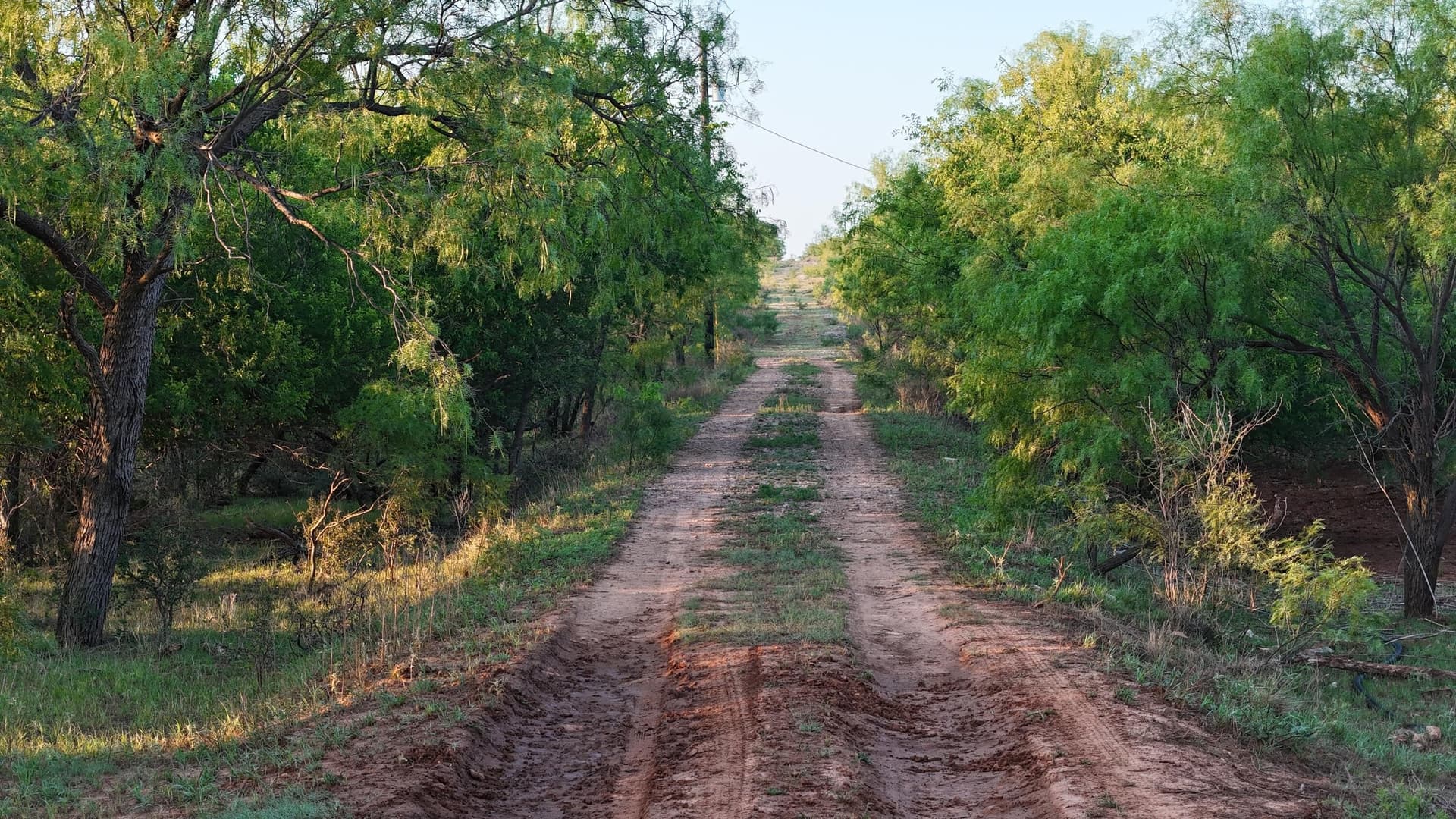 398.83 acres in Fisher County - photo 39